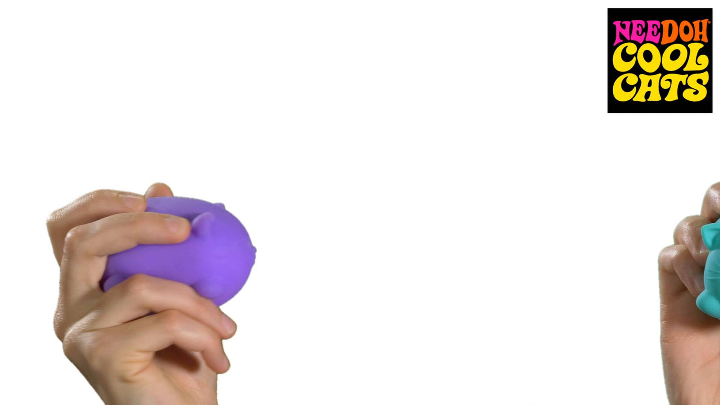 Adorable Character Cool Cats NeeDoh | Select Morning Crest - Cute Animal-Shaped NeeDoh Fidget Toy for Kids Detail
