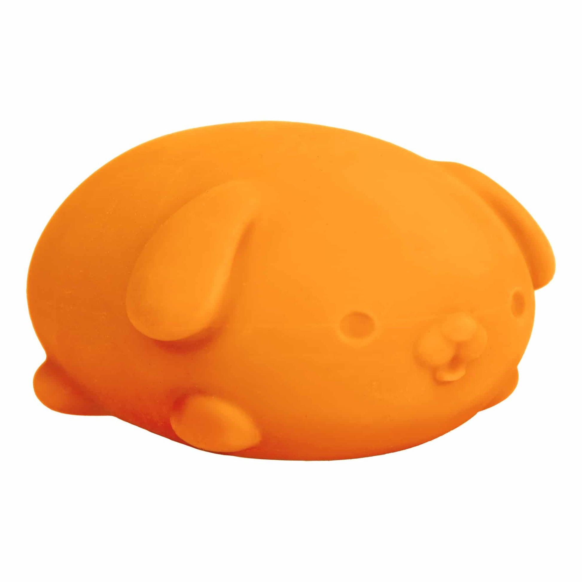Cute Collectible NeeDoh Funky Pup | Collection Canyon Shore - Cute Animal-Shaped NeeDoh Fidget Toy for Kids Detail