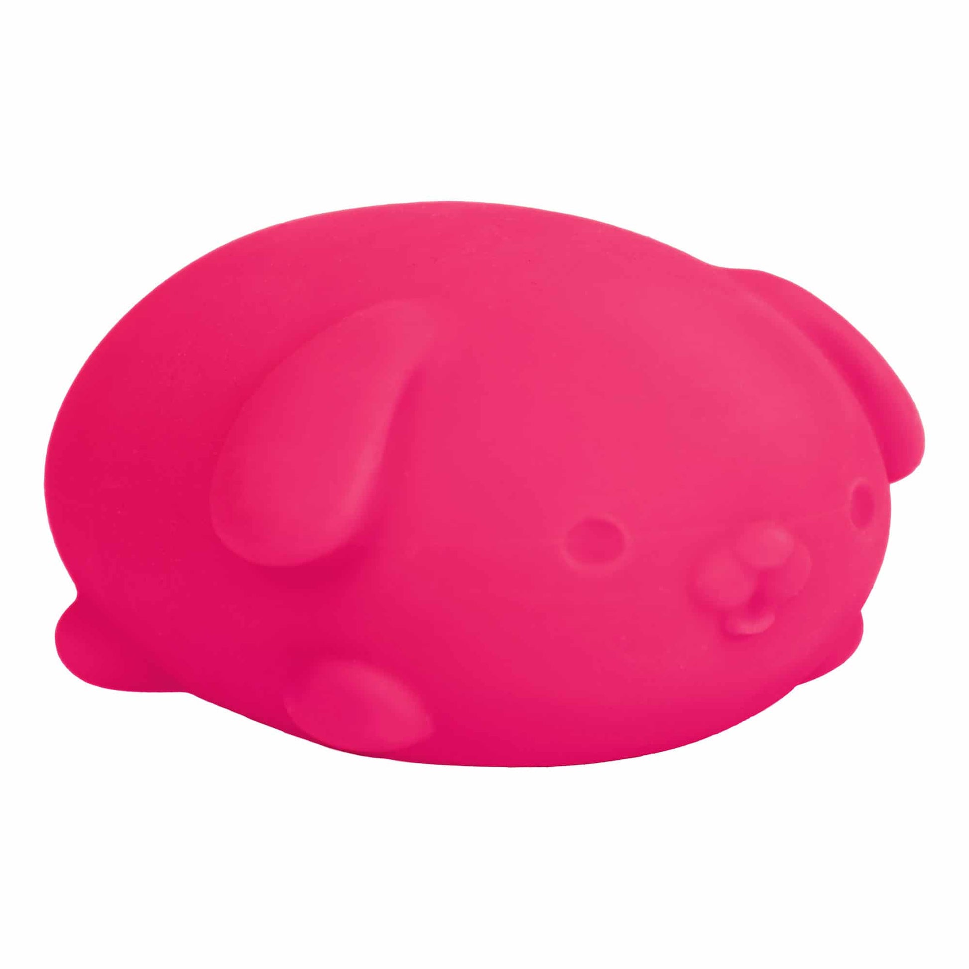 Cute Collectible NeeDoh Funky Pup | Collection Canyon Shore - Cute Animal-Shaped NeeDoh Fidget Toy for Kids Detail