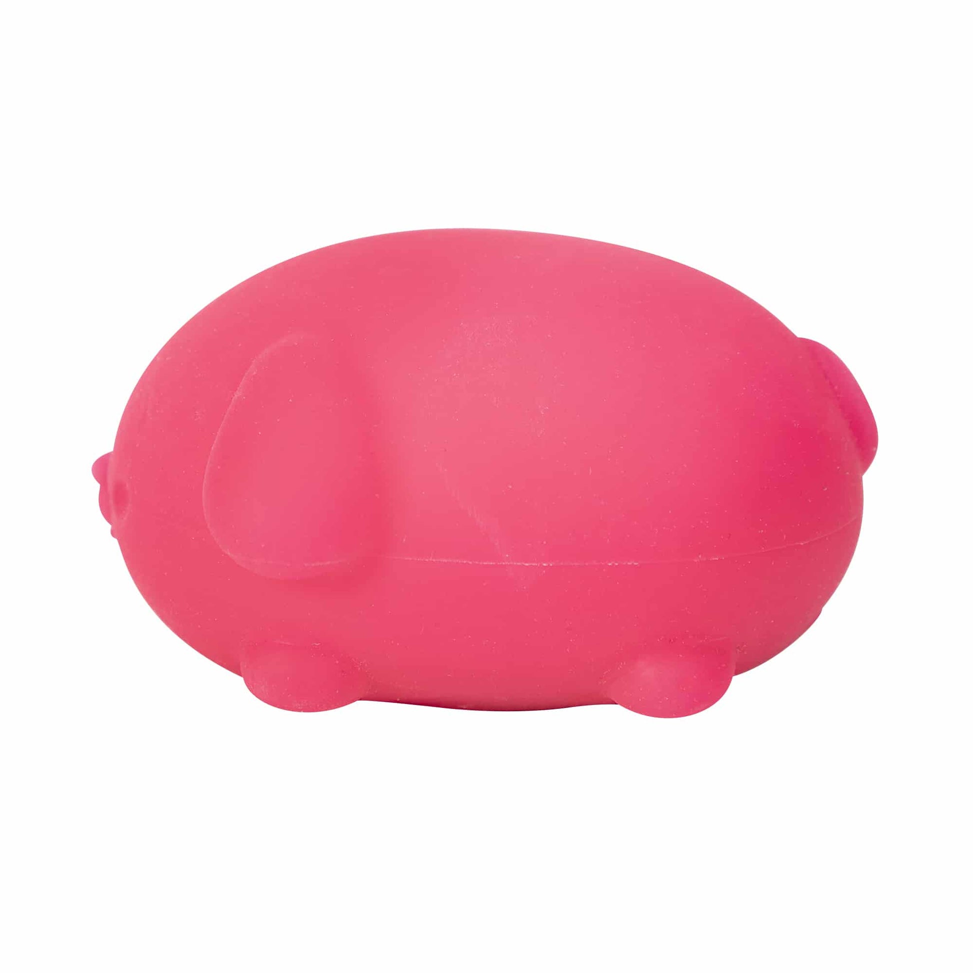 Cute Collectible NeeDoh Funky Pup | Collection Canyon Shore - Cute Animal-Shaped NeeDoh Fidget Toy for Kids Detail