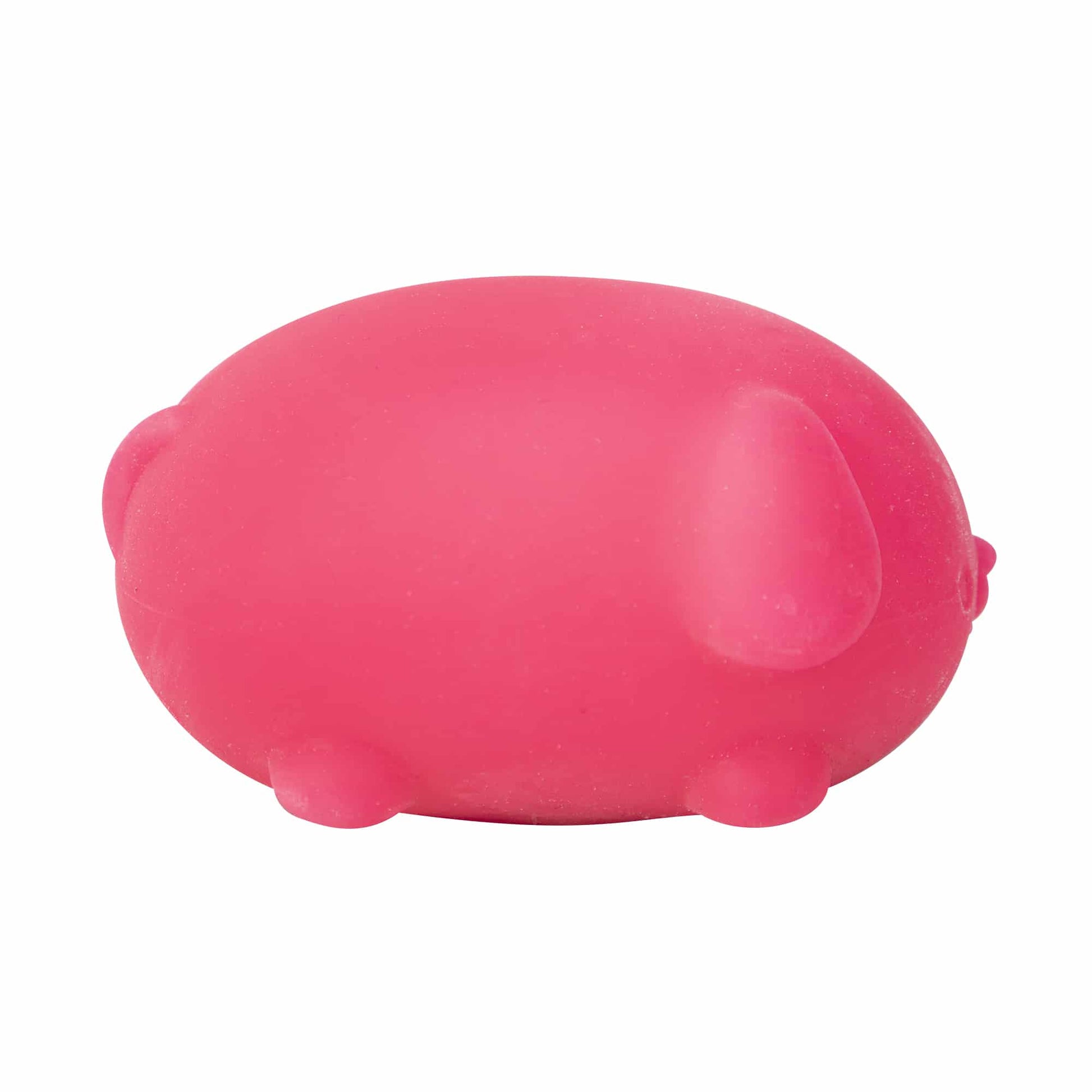 Cute Collectible NeeDoh Funky Pup | Collection Canyon Shore - Cute Animal-Shaped NeeDoh Fidget Toy for Kids Detail