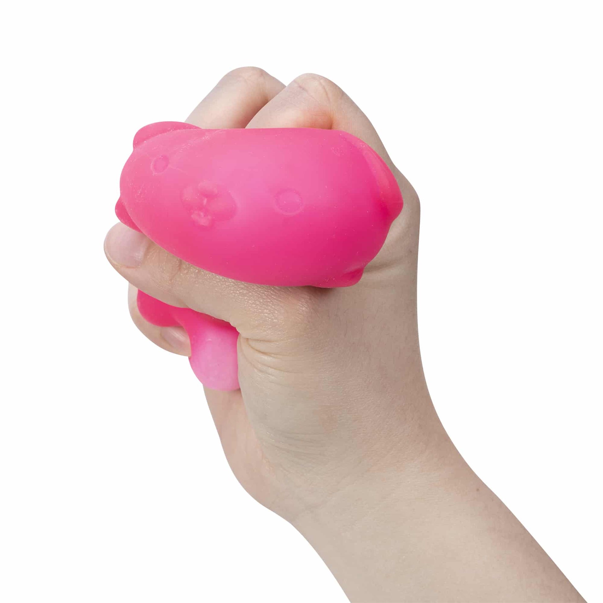 Cute Collectible NeeDoh Funky Pup | Collection Canyon Shore - Cute Animal-Shaped NeeDoh Fidget Toy for Kids Detail