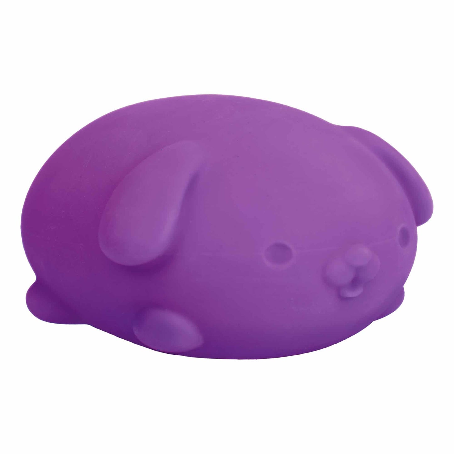 Cute Collectible NeeDoh Funky Pup | Collection Canyon Shore - Cute Animal-Shaped NeeDoh Fidget Toy for Kids Detail