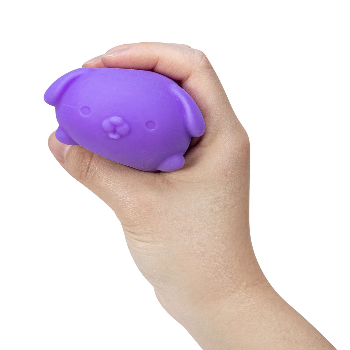 Cute Collectible NeeDoh Funky Pup | Collection Canyon Shore - Cute Animal-Shaped NeeDoh Fidget Toy for Kids Detail