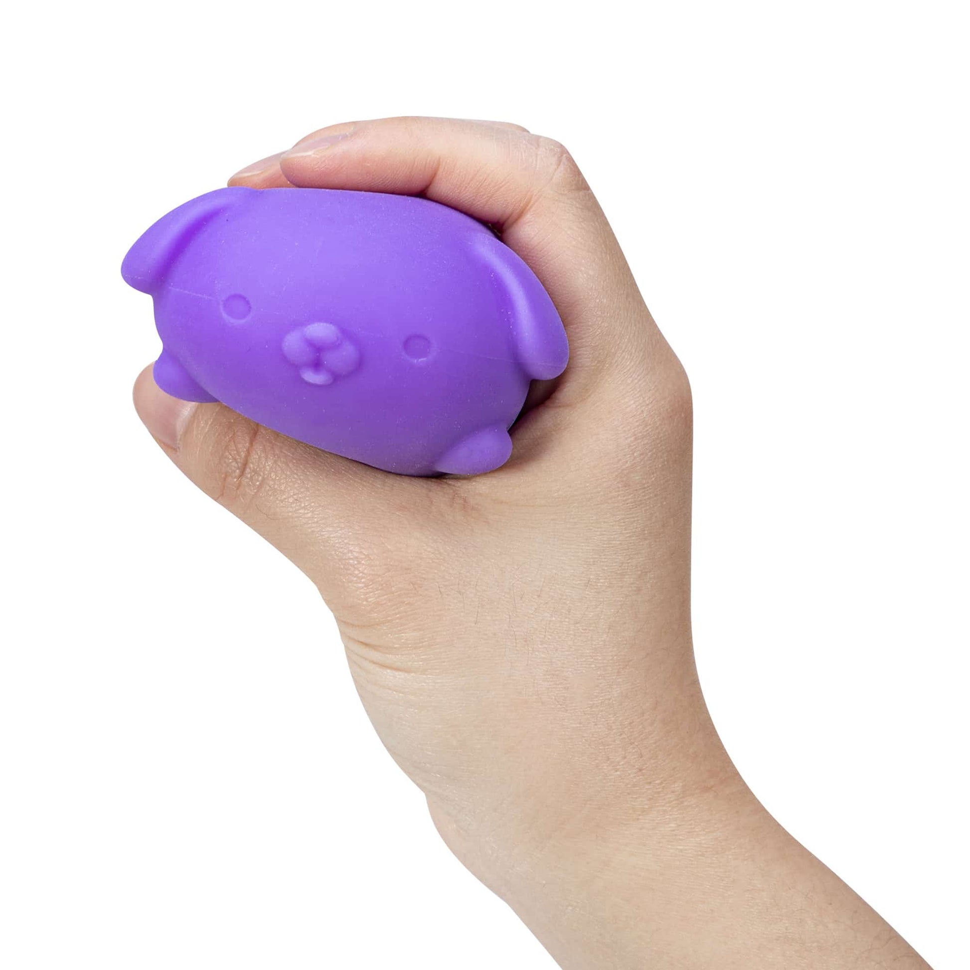 Cute Collectible NeeDoh Funky Pup | Collection Canyon Shore - Cute Animal-Shaped NeeDoh Fidget Toy for Kids Detail