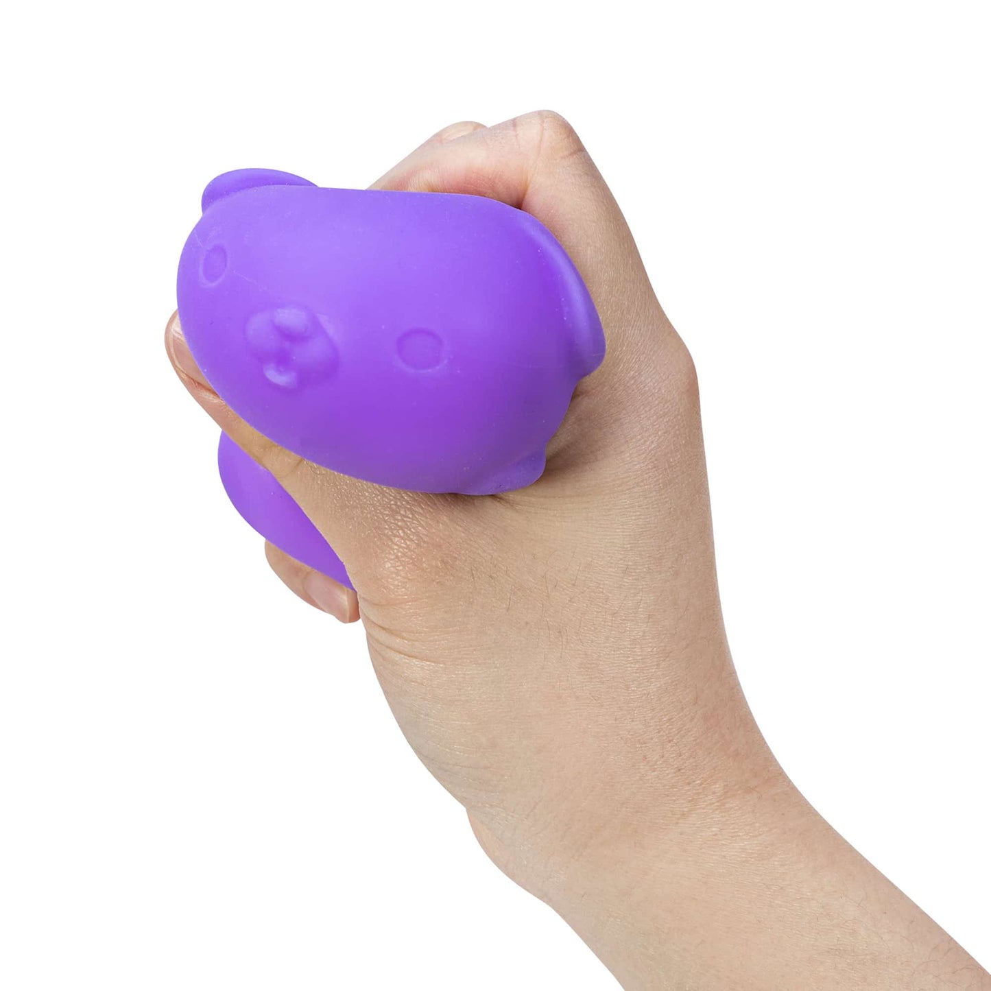 Cute Collectible NeeDoh Funky Pup | Collection Canyon Shore - Cute Animal-Shaped NeeDoh Fidget Toy for Kids Detail