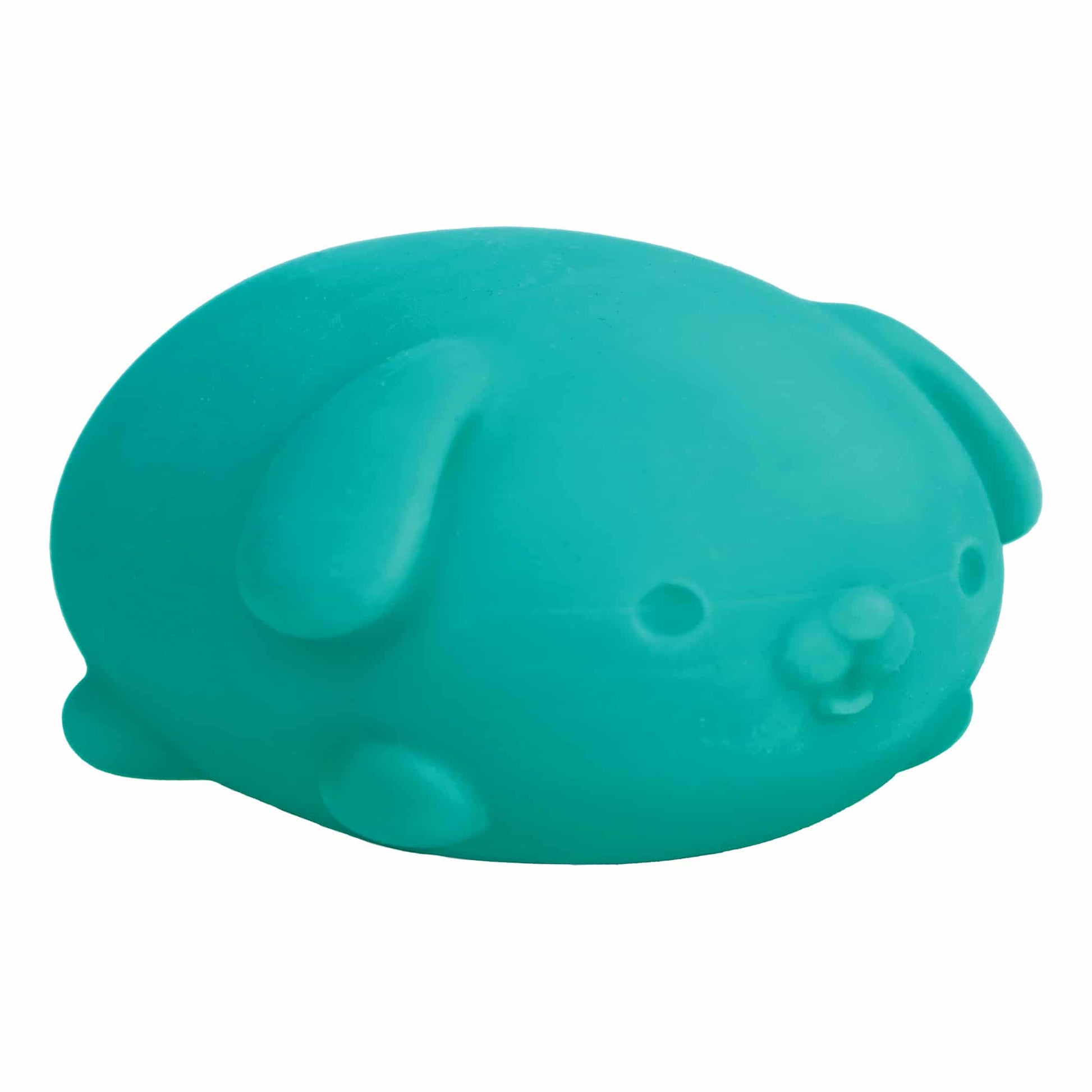 Cute Collectible NeeDoh Funky Pup | Collection Canyon Shore - Cute Animal-Shaped NeeDoh Fidget Toy for Kids Detail